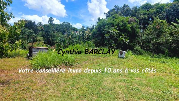 Terrain à LE LAMENTIN (97232)