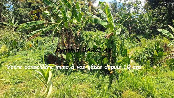 Terrain à LE LAMENTIN (97232)