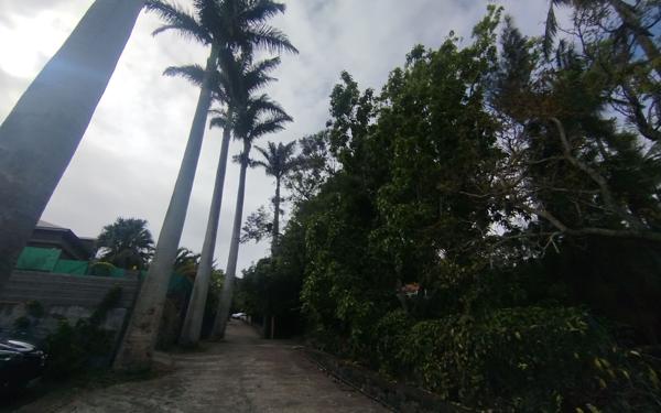 Appartement à louer    3 pièces • 86 m2 Saint-Denis