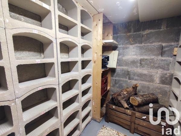 Maison à vendre 6 pièces 280 m² Saint-Cyr-sur-Loire