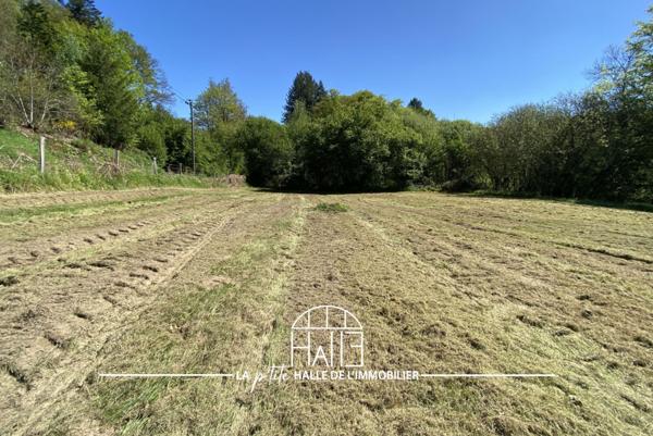 Terrain - 1450 m² Exclusivité efficity