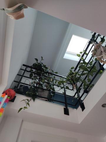F2 duplex 50m2