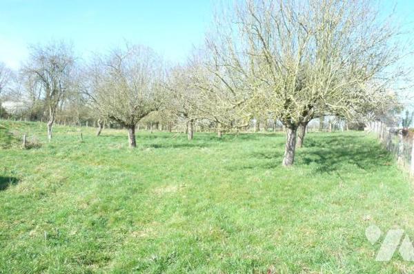 A vendre à Ambrières les vallées(53), un pavillon sur sous-sol comprenant une cuisine aménagée ...