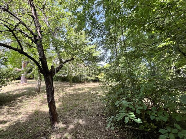 Située sur la paisible commune de Herry dans une rue au calme, à deux pas du canal latéral à la Loire, d'un bar-épicerie, d'une boulangerie et à 5km des commerces et commodités de la Charité sur Loire, nous avons le plaisir de vous présenter cette charmante maison de village sans vis-à-vis nichée dans un écrin de verdure, construite sur une parcelle arborée et fleurie de 1 416m² proposant une terrasse plein Sud, un garage et un appentis. 

À l'abri des regards, l'entrée de la maison se fond dans la végétation environnante, offrant un cadre intime et paisible et mène à un bureau sur la droite puis à une grande et lumineuse de pièce de vie de 34m² proposant une cheminée ouverte pour de belles soirées d'hiver au coin du feu ainsi qu'un accès à une terrasse plein Sud au moyen de porte-fenêtres. Depuis cette pièce, vous accèderez à un cellier, à une grande cuisine aménagée de 14m² ainsi qu'à une pièce de 17m² à aménager selon vos besoins et bénéficiant d'une mezzanine de 8m² ainsi que d'un accès direct à l'extérieur. Sur la gauche, l'entrée dessert un WC séparé, un second accès à la cuisine ainsi qu'un escalier menant à l'étage. 
À l'étage, un palier dessert sur la gauche une chambre de 13m² ainsi qu'une salle de bains de 8m² avec baignoire, douche et WC; en face, un débarras de 3m² ainsi qu'une chambre de 13m² également et sur la droite, une chambre de 11m². 

Les sols de cette maison sont en carrelage (entrée, bureau, pièce de vie, cellier, cuisine, WC, salle de bains), en parquet (palier) ou en moquette (chambres, débarras).  
Elle est munie d'un mode de chauffage de type électrique ainsi que d'un ballon de production d'eau chaude sanitaire de 200 litres.  
Ce bien dispose d'huisseries en bois double vitrage, de volets bois, d'une toiture en tuiles mécaniques béton en très bon état ainsi que de combles parfaitement isolés. 

Côté énergie, ce bien bénéficie de la très bonne note de D au niveau du DPE (Diagnostic de Performance Énergétique), ce qui en fait un logement peu énergivore, et B au niveau des GES (Gaz à Effet de Serre), ce qui en fait un logement très peu polluant. 

Côté extérieur, vous pourrez profiter d'un magnifique terrain arboré et fleuri de 1 416m² proposant une terrasse de 15m² orientée plein Sud, un garage de 18m² avec bûcher et appentis de 15m², une dépendance en tôle de 10m² ainsi qu'un barbecue maçonné. 

Les plus de ce bien :
Son environnement intimiste, son charme bucolique, sa pièce de vie lumineuse, ses trois chambres et ses beaux volumes. 

Possibilité de visite vidéo sur demande.

Photos supplémentaires disponibles sur BSK IMMOBILIER > Nos conseillers > Inès RÉMOND
Pour tout renseignement complémentaire ou pour une visite, contactez moi au 07.87.29.70.92.

Idéale pour une famille ou pour une résidence secondaire, cette maison est un vrai coup de cœur, une belle opportunité à saisir, elle n'attend que vous !!!