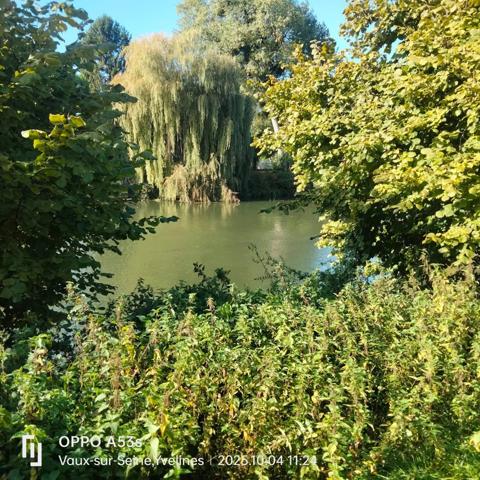 Vente Appartement 2 pièces 30 m2 à Vaux-sur-Seine