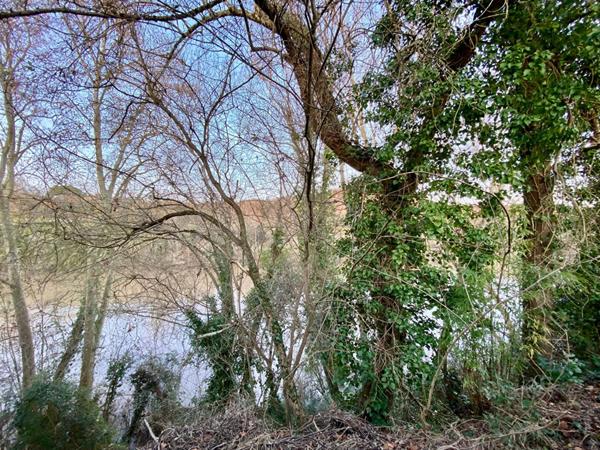 Maison PLAIN-PIED secteur BESSIERES proche de toutes les commodités