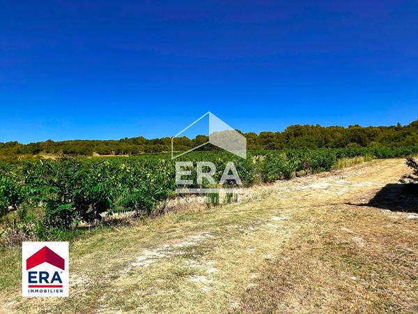 Propriété de charme au coeur des vignes et des oliviers, avec potentiel unique