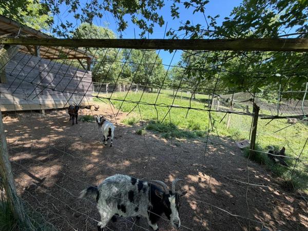 Villa rénovée avec Sous-sol et Grand terrain