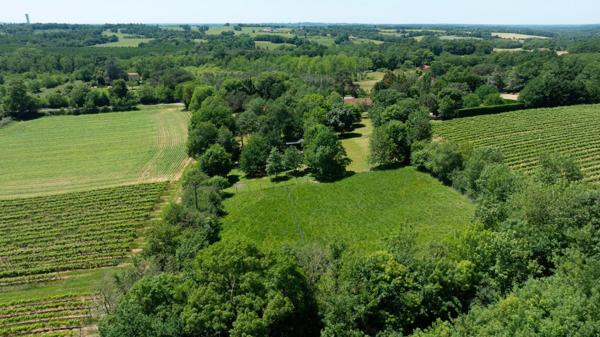 Villa rénovée avec Sous-sol et Grand terrain