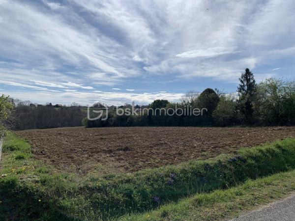 Terrain de 6 066 m²