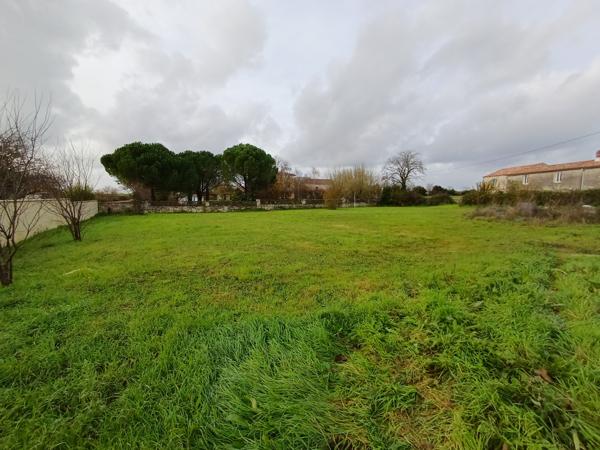 Terrain à batir  1392 m²