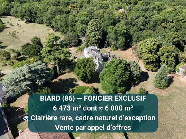 Vente / Terrain constructible