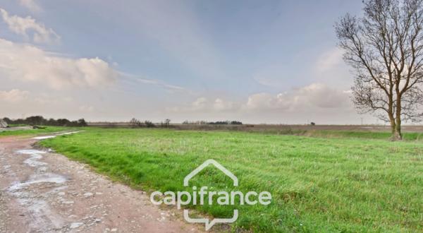 Ensemble à vendre 1 pièces NUAILLE D'AUNIS (17)à vendre NUAILLE D'AUNIS, ensemble immobilier, d'une surface de 591,64 m2, le tout sur une parcelle cadastrée de 4710 m2.