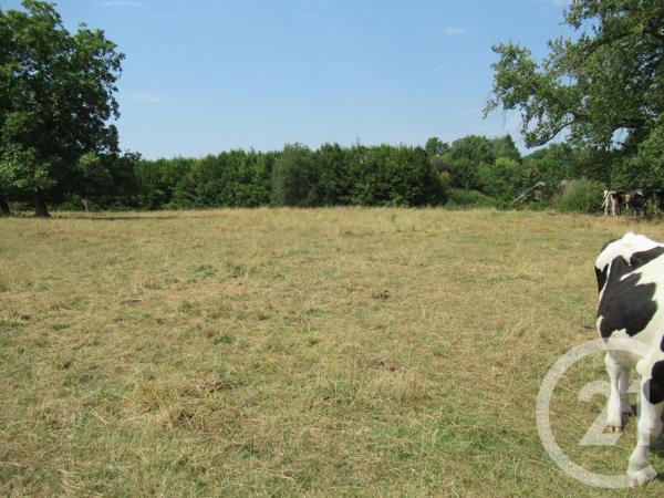 terrain à vendre 1099 m2 HERICOURT - 70