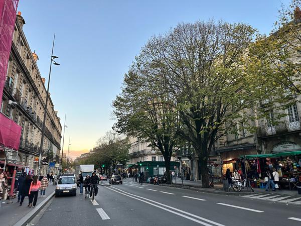 Bar Brasserie Licence IV Extraction quartier Grosse Cloche