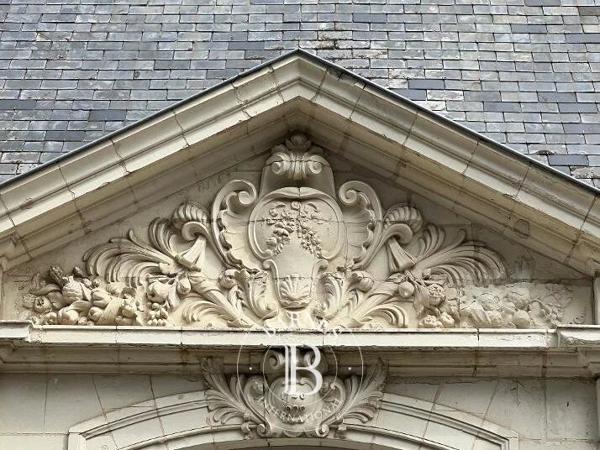 Saint-Avertin, Propriété 6 Chambres -  392 m² à vendre