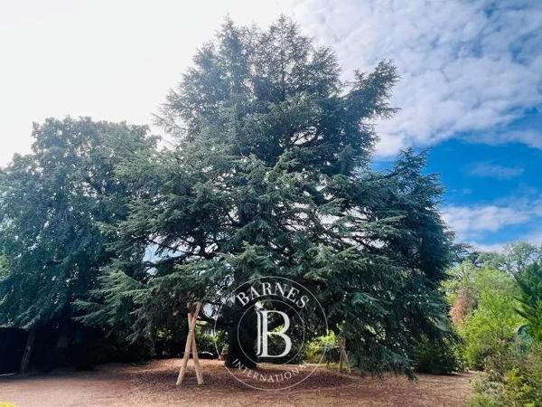 Saint-Avertin, Propriété 6 Chambres -  392 m² à vendre