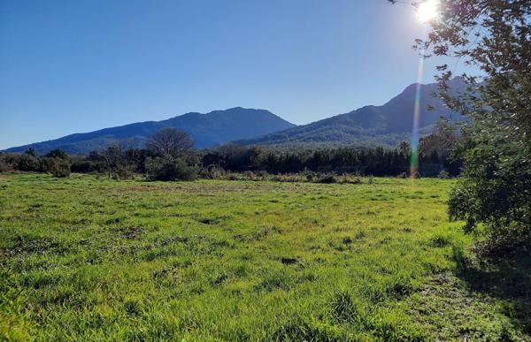Terrain à bâtir viabilisé libre de constructeur