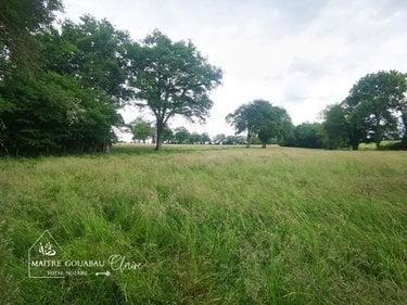 Terrain agricole à vendre à Loiron-Ruillé en Mayenne (53320), ref :