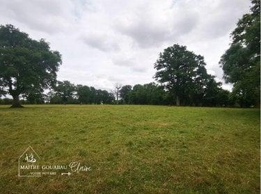 Terrain agricole à vendre à Loiron-Ruillé en Mayenne (53320), ref :