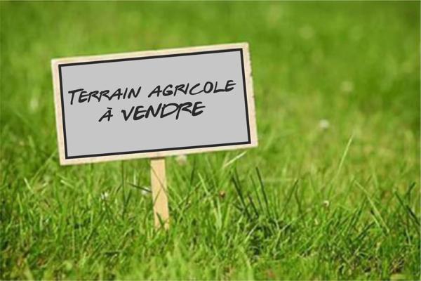 Immobilier Aigueperse (63260) – Terrain 25516m2 – 107 500 €