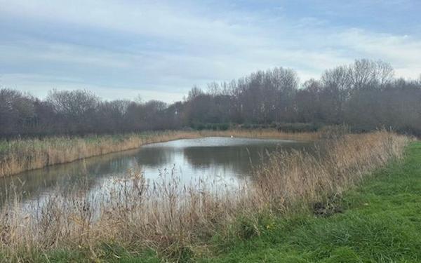 Maison à vendre    4 pièces •  Cayeux-sur-Mer