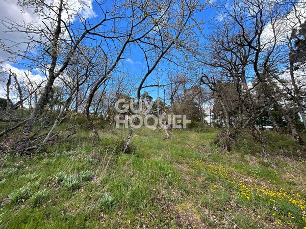 TERRAIN LIBRE DE CONSTRUCTEUR à 15 minutes de SAINT-PERAY