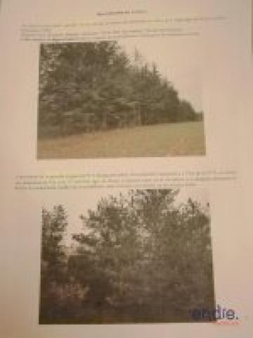 MASSIF FORESTIER DE 244ha d'un seul tenant!!