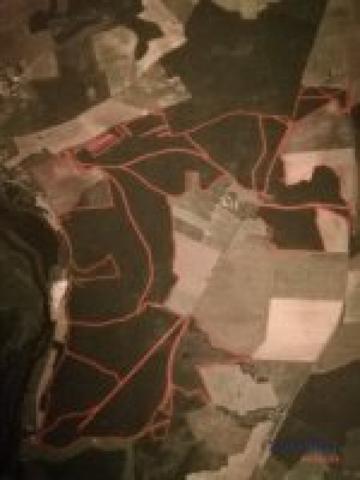 MASSIF FORESTIER DE 244ha d'un seul tenant!!