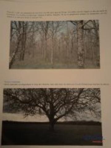 MASSIF FORESTIER DE 244ha d'un seul tenant!!