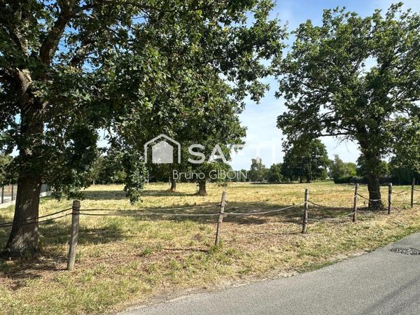 Terrain constructible 1 311 m²