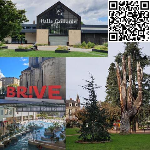 Apt T5 de standing - Dernier étage avec ascenseur - Brive hyper centre avec vue dégagée