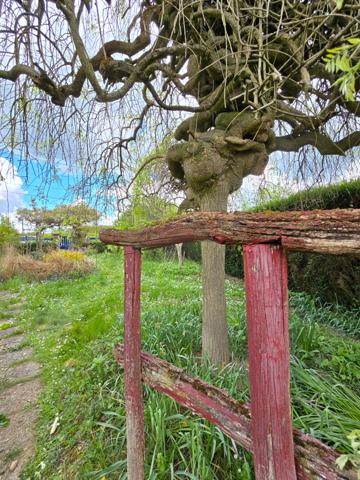 Maison T4 avec véranda au coeur d'un jardin  luxuriant