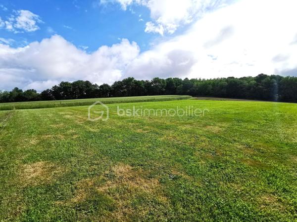 Propriété Béarnaise de caractère, située à 10 minutes d'Orthez en direction de la côte, et bénéficiant d'une vue dominante sur la nature :

Composé de deux maisons d'habitation, cet ensemble immobilier est l'endroit idéal pour un rassemblement familial, une exploitation de gîte rentable, un entrepreneur ayant besoin de nombreux espaces de stationnement et stockage, ou tout simplement pour les amoureux de nature et de calme.

La première maison propose une vie de plain pied sur 69 m², comprenant entrée, séjour, cuisine aménagée/équipée, WC séparé, dégagements avec rangements-penderie et coin buanderie, salle d'eau avec w-c, 2 chambres avec placards-penderies intégrées dont une avec douche et lavabo, l'ensemble fraichement rénové, doté d'une climatisation réversible, de double vitrage récent, d'une micro-station neuve et d'une excellente isolation (DPE en C).
Un jardin coté Sud, terrasse de 60 m², cours avec enrobé, grand préau, joli grange aménagée en atelier et réserve, garage fermé, l'ensemble desservi par une large entrée indépendante avec portail motorisé neuf.

La seconde habitation de 123 m² habitables à finir de rénover, dispose au rez de chaussée d'une arrière cuisine buanderie avec rangements, douche et WC séparé, dégagement, séjour, cuisine, w-c séparé, salle de bains, dégagement, et chambre.
L'étage comprend un couloir qui dessert 2 chambres et un grand bureau ou chambre d'appoint.
Dans les combles de cette Béarnaise, l'isolation a été refaite récemment, sa toiture entièrement refaite à neuf en 1990, l'ensemble charpente / couverture est dans un état impeccable.
Cette seconde maison est tout à fait habitable en l'état : DPE en D, double vitrage pvc partout et climatisation réversible, mais des travaux de remises au normes sont nécessaires au niveau d'une partie de l'électricité, de l’assainissement, de la cuisine et de la salle de bains selon les gouts et les besoins.
Côté extérieurs, vous profiterez d'un jardin plein Sud avec vue sur la nature, d'un puits, d'un grand espace de stationnement privatif, de 2 garages ouverts, d'un cabanon de jardin, d'un grand espace de stockage/aménagements extérieurs avec appentis, d'un magnifique terrain plat avec vue dégagée, à côté d'une jolie foret pour vos balades.

L'ensemble de cette propriété est desservi de manière indépendante par trois entrées pour vos véhicules, et l'ensemble immobilier vient d'être borné en trois grandes parcelles : selon les projets et les besoins, vous pouvez revendre ou mettre en location chaque parcelle à votre guise !
N.B. : 2 compteurs électriques indépendants, également idéal pour démarrer immédiatement une activité de gîte très rentable !

Contactez moi, je me ferai un plaisir de vous présenter ce bel ensemble immobilier à fort potentiel, au calme absolu.