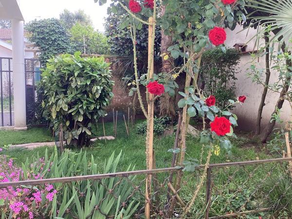 Appartement T4 en duplex (40100) DAX