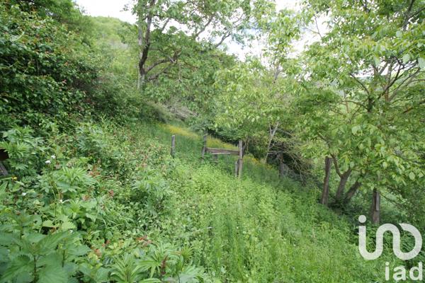 Maison à vendre 2 pièces 70 m² Villefranche-de-Panat