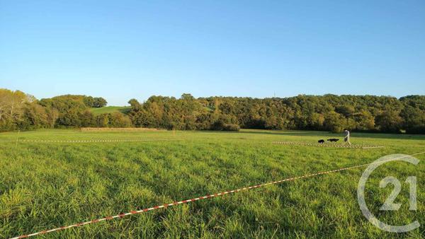 Terrain à vendre  16731 m2 THERMES MAGNOAC - 65