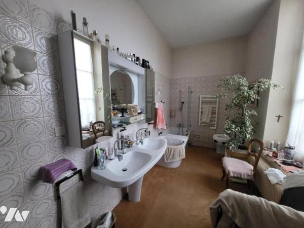 BELLE MAISON DE MAITRE SUR PARC ARBORE