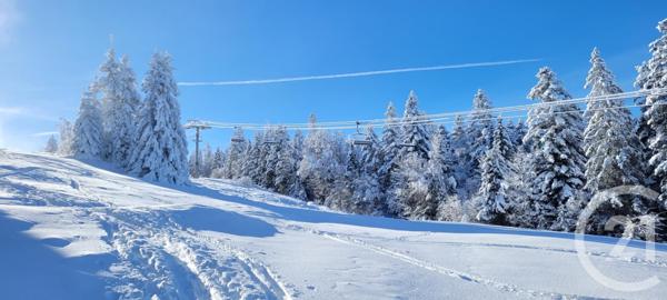 Appartement F1 à vendre  2 pièces - 37,89 m2 METABIEF - 25