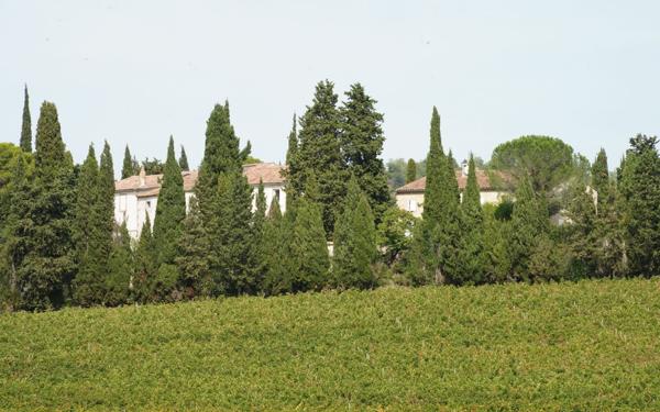 Maison à vendre    18 pièces • 6 m2 Pauligne