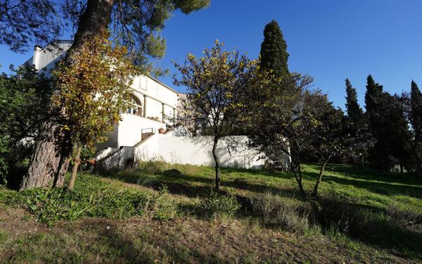 Maison à vendre    18 pièces • 6 m2 Pauligne