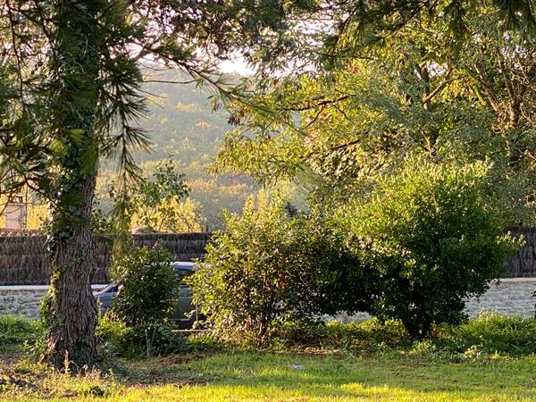 Terrain Saint Benoit 1000 m2