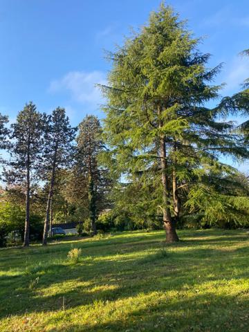 Terrain Saint Benoit 1000 m2