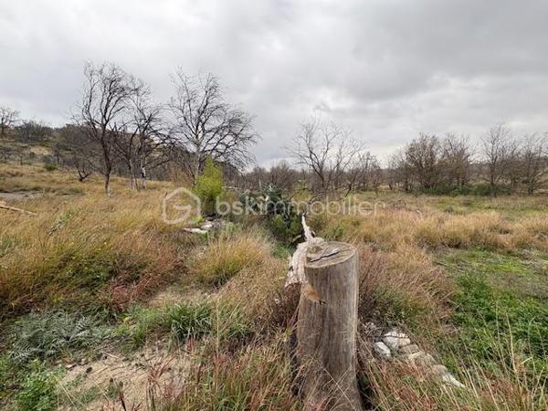 Terrain agricole de 1 590 m²
