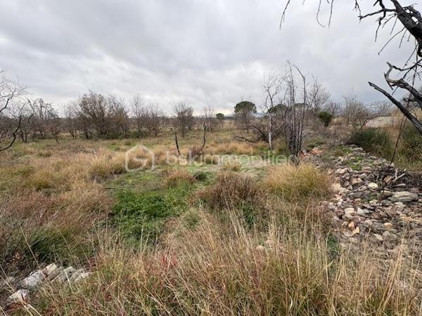 Terrain agricole de 1 590 m²