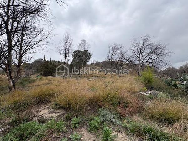 Terrain agricole de 1 590 m²