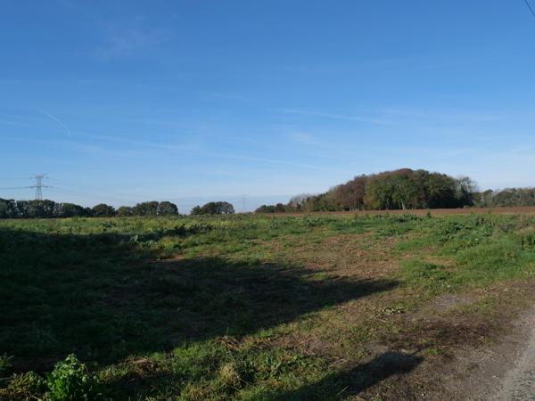 Terrain - 659 m²