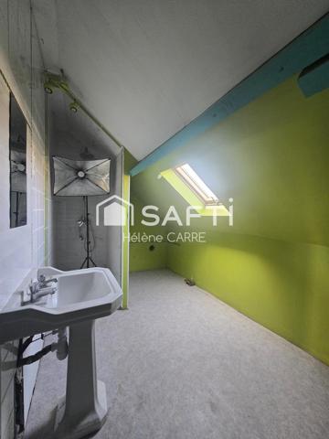 Jolie maison Vierzonnaise avec briques