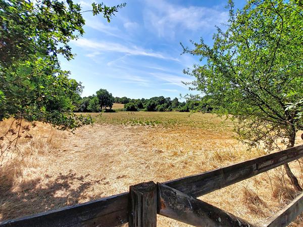 Domaine de 300 m² - Cadre verdoyant de Nort sur Erdre