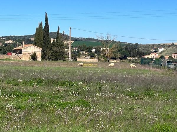 Limoux - Proche centre-ville - Terrain plat de 4366m²
